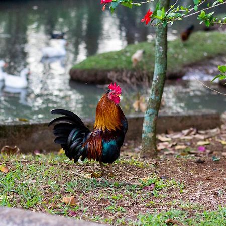 Polo Hotel Fazenda Indaiatuba Bagian luar foto