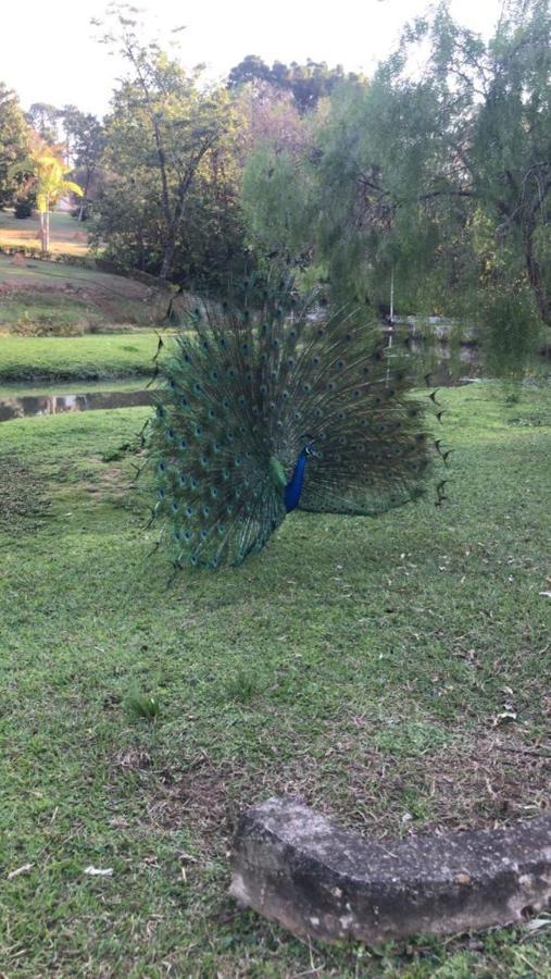 Polo Hotel Fazenda Indaiatuba Bagian luar foto